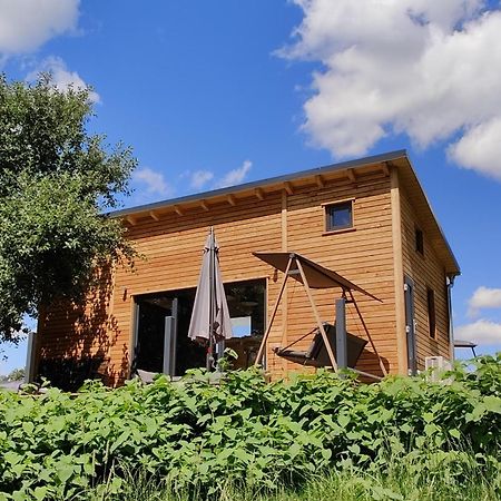 Вилла Tinyhousebeidresden 3 Fuer 2 - 7 Personen, Naehe Saechsische Schweiz, Dresden, Mit Badeteich Grossharthau Экстерьер фото