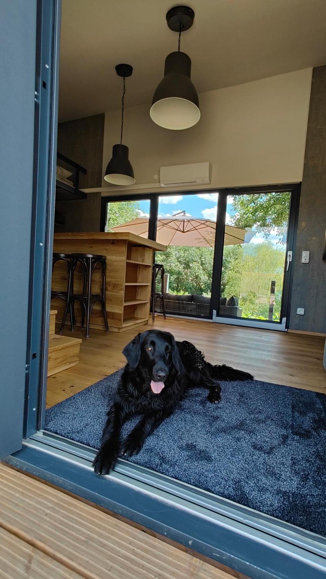 Вилла Tinyhousebeidresden 3 Fuer 2 - 7 Personen, Naehe Saechsische Schweiz, Dresden, Mit Badeteich Grossharthau Экстерьер фото