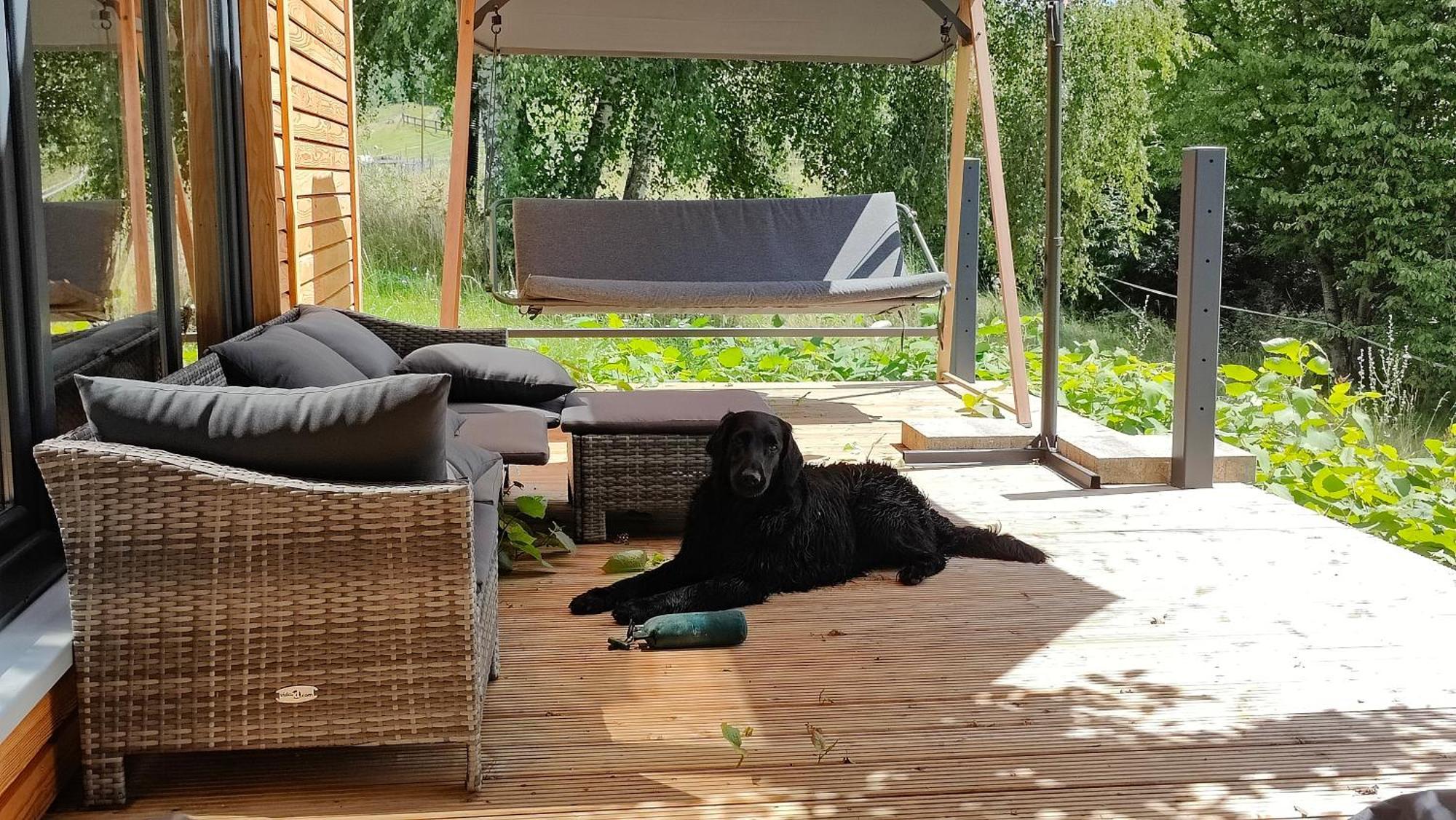 Вилла Tinyhousebeidresden 3 Fuer 2 - 7 Personen, Naehe Saechsische Schweiz, Dresden, Mit Badeteich Grossharthau Экстерьер фото